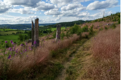 The Importance of Mental Health Treatment After Trauma: A Path to Healing